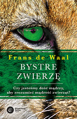 Zdjęcie produktu 1