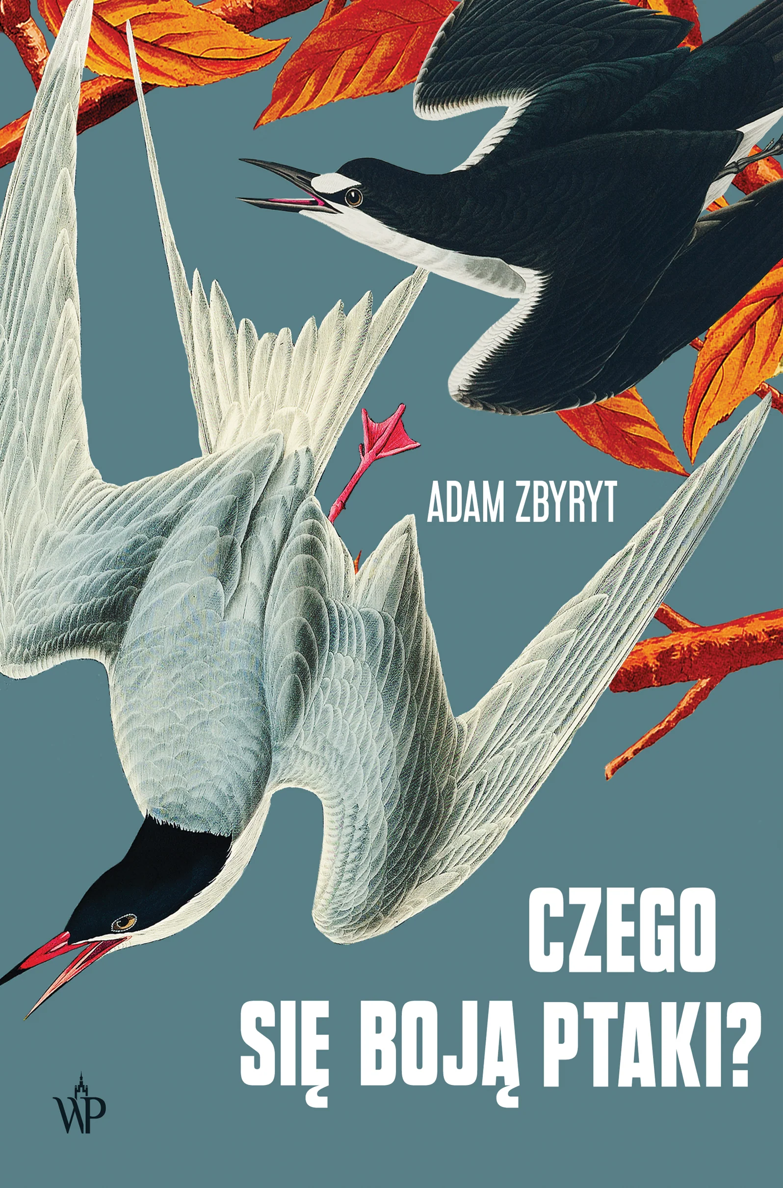 Zdjęcie produktu 1
