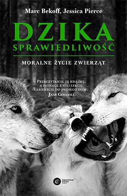 Zdjęcie produktu 1