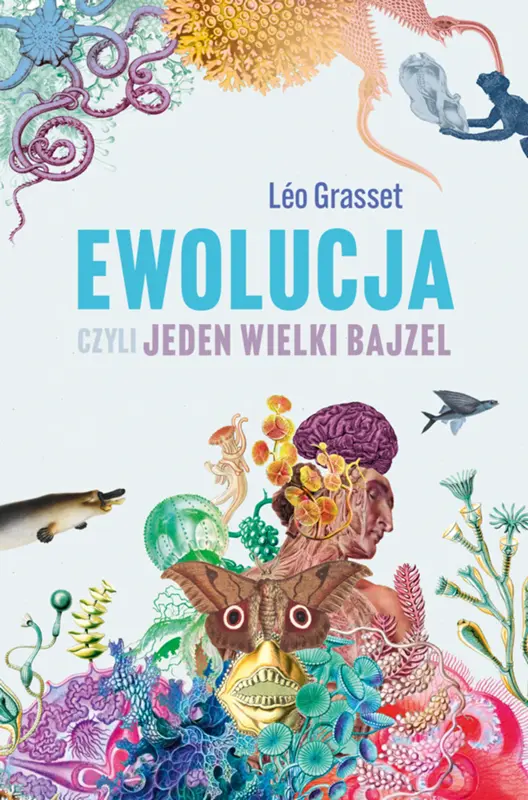 Zdjęcie produktu 1