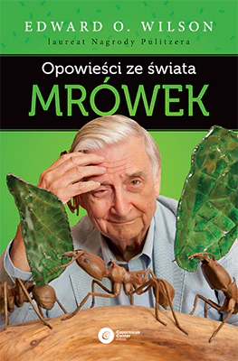 Zdjęcie produktu 1