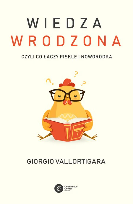 Zdjęcie produktu 1